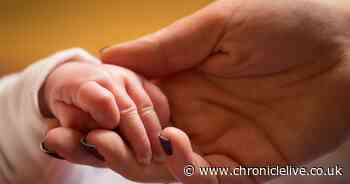 What is the most popular baby name where you live? Find out here