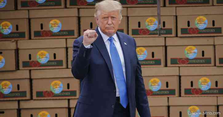 Letter: Trump doesn’t deserve reelection