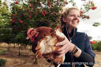 Morrisons teams up with Bishop Burton College on Egg Academy