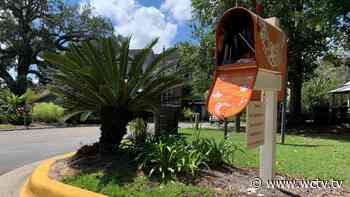 Tallahassee Council on Arts and Culture hoping to inspire community with Inspiration Station - WCTV