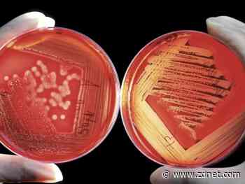 Do you clean your phone now? How coronavirus has changed us (or not)