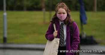 Gateshead public health chief will hold talks with teachers over use of face masks in schools - Chronicle Live