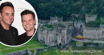 The benefits to Wales of having I'm a Celebrity here
