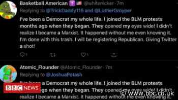 US election 2020: Twitter suspends accounts sharing poll message