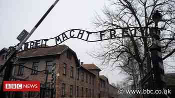 TikTok Holocaust trend 'hurtful and offensive'