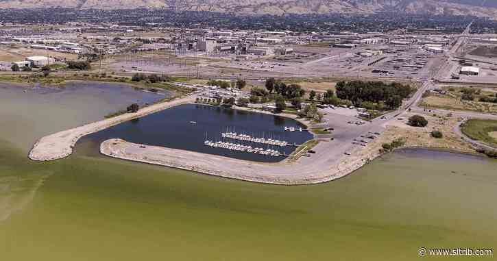 Can chemical treatments reduce toxic algal blooms on Utah Lake?