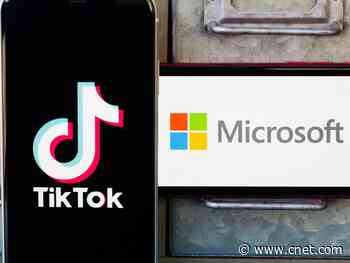 TikTok sale appears imminent, rumors fly as Microsoft and Walmart team up for bid     - CNET