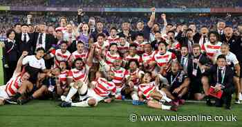 Eight-team autumn tournament involving Wales in jeopardy as Japan 'drop out'
