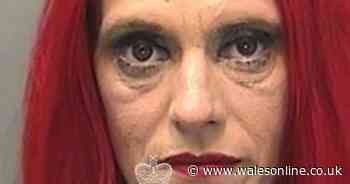 Shoplifter jailed for stealing £9 make-up she had money to pay for