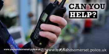 Appeal after woman suffers head injury – Bristol