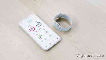 Amazon's New Fitness Tracker Sounds Like a Body-Shaming, Tone-Policing Disaster