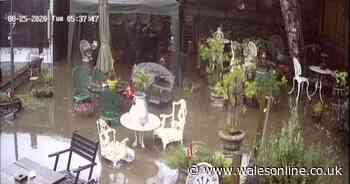 Business owner breaks down as she describes flood damage