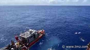 Coast Guard Shoots at Shark Stalking Swimmers