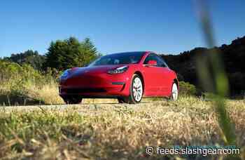 Cheaper Tesla tipped as Musk hunts new electric expansion