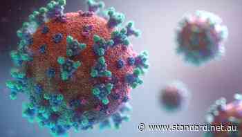 Case numbers of coronavirus steady in Warrnambool - The Standard