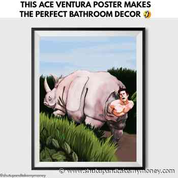 Ace Ventura Poster
