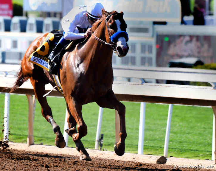 Racing board seeks DQ of Justify in Santa Anita Derby