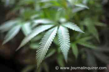 Another condition accepted for medical marijuana use | Business - Journal Inquirer