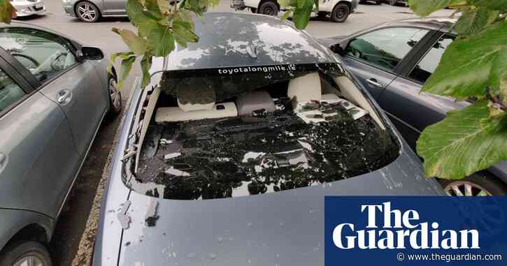 Cricketer left in need of windscreen repairs after smashing own car with huge six