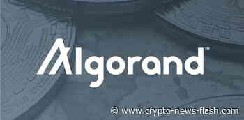 Coin-Vorstellung: Was steckt hinter dem Algorand (ALGO) Projekt - Crypto News Flash