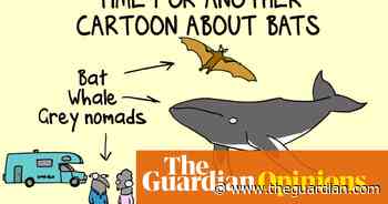 Despite bats being critically important to our ecology AND adorable, we treat them with disdain | First Dog on the Moon