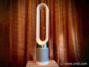 Do air purifiers really work (and will they protect you from COVID-19)?     - CNET