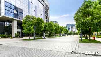 Businesses urged to harness 'nature-based solutions' to combat climate emergency