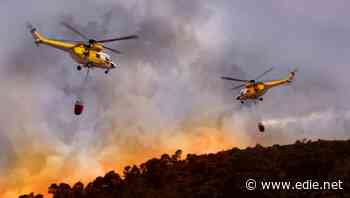 Climate change and agriculture driving record levels of deforestation, WWF report finds