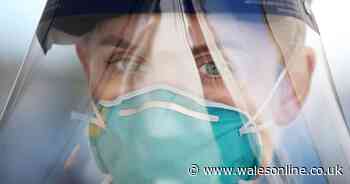 Wales' latest virus deaths and cases update