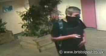 Delivery packages stolen from communal area of apartment building