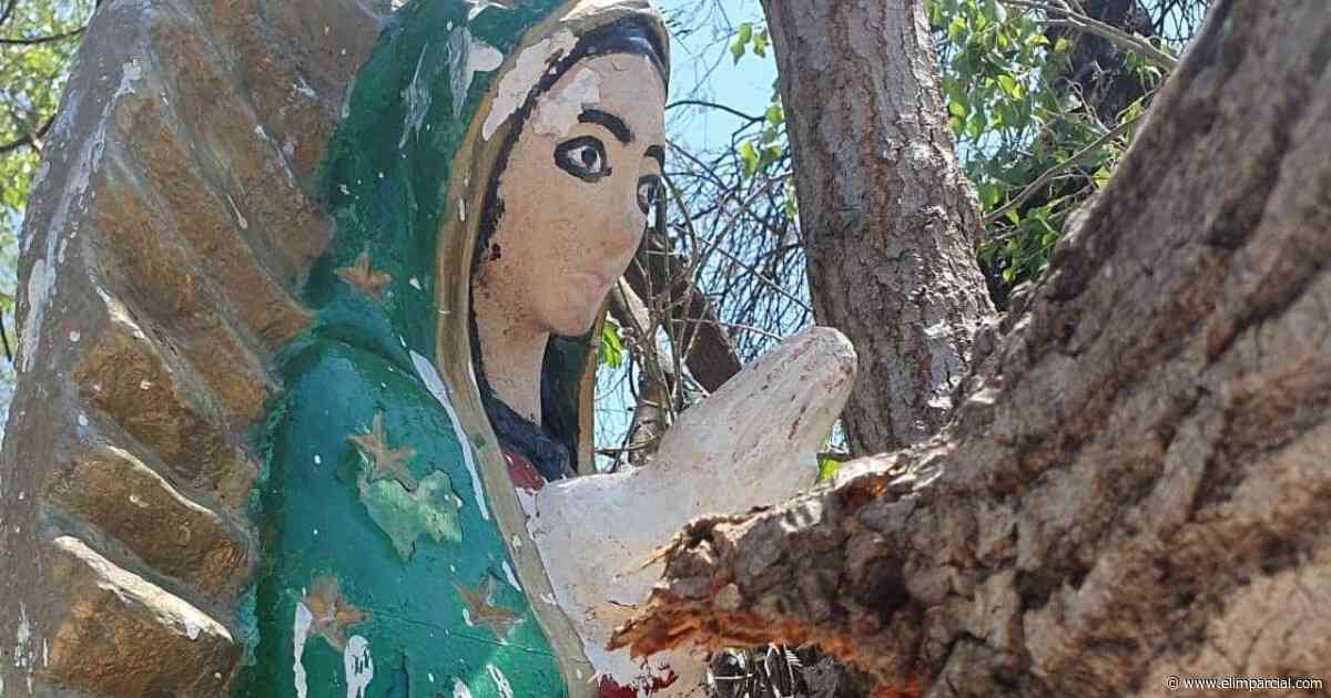 Álamo derriba capilla e imagen de la virgen de Guadalupe queda intacta - ELIMPARCIAL.COM