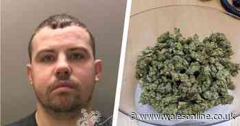 Bumbling drug dealer caught after police smell cannabis in garage