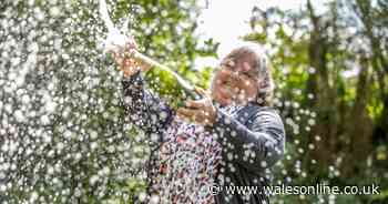 Mum-of-eight wins Thunderball Lottery and plans to buy a bungalow