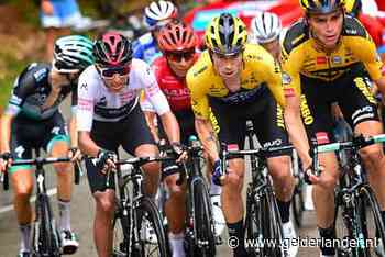 Roglic gaat als een speer, maar heeft rivalen te over