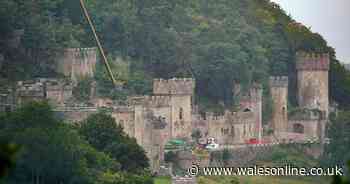 I'm a Celebrity castle team thought email request from ITV was spam