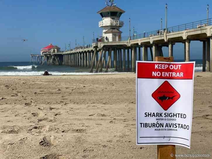 Shark signs warns beachgoers to “keep out” of water near Huntington Beach Pier