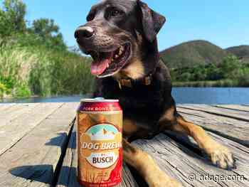 Trending: It’s time to order chicken for people, and beer for dogs