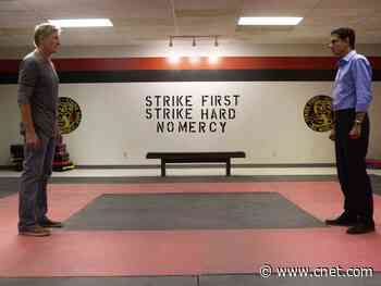 First two seasons of Cobra Kai now on Netflix     - CNET