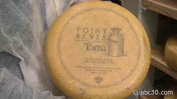 Point Reyes Farmstead Cheese Company donates 3,000 pounds of cheese to Redwood Empire Food Bank