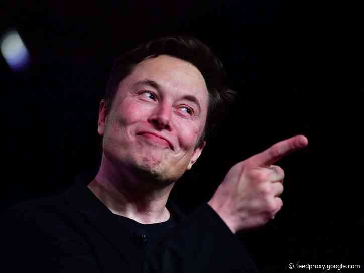 The most unusual, extravagant ways tech executives like Larry Ellison and Elon Musk have spent their money