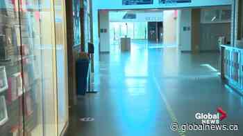 Edmonton schools say they're as safe as they can be when classes resume next week | Watch News Videos Online - Globalnews.ca