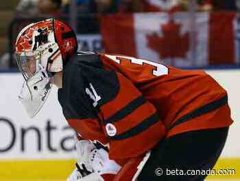 Sherwood Park product Carter Hart aims to play in Edmonton Hub - Canada.com
