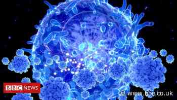 Scientists target coronavirus immunity puzzle