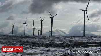 Black turbine blade 'can cut bird deaths'