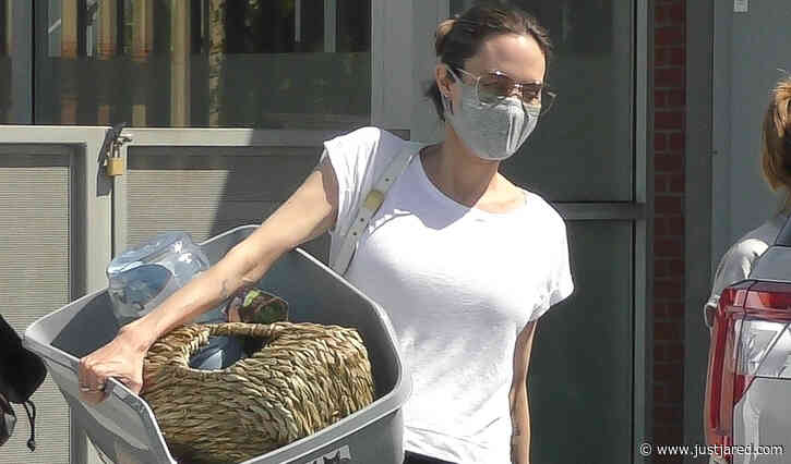 Angelina Jolie Picks Up a New Litter Box at the Pet Store
