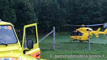 Fanano Dodicenne morsicata da una vipera - La Gazzetta di Modena