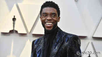 'Black Panther' star Chadwick Boseman dies of cancer at 43