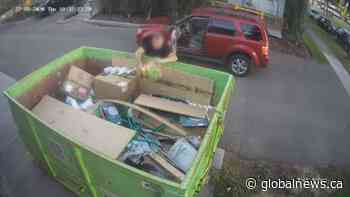 Dumpster fire shocks Edmonton’s Bonnie Doon