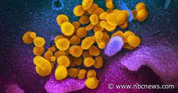 COVID-19 reinfection reported in Nevada patient, researchers say