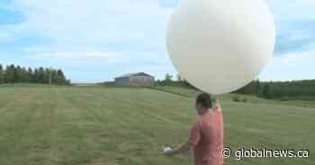 Weather forecasting disrupted by the COVID-19 pandemic